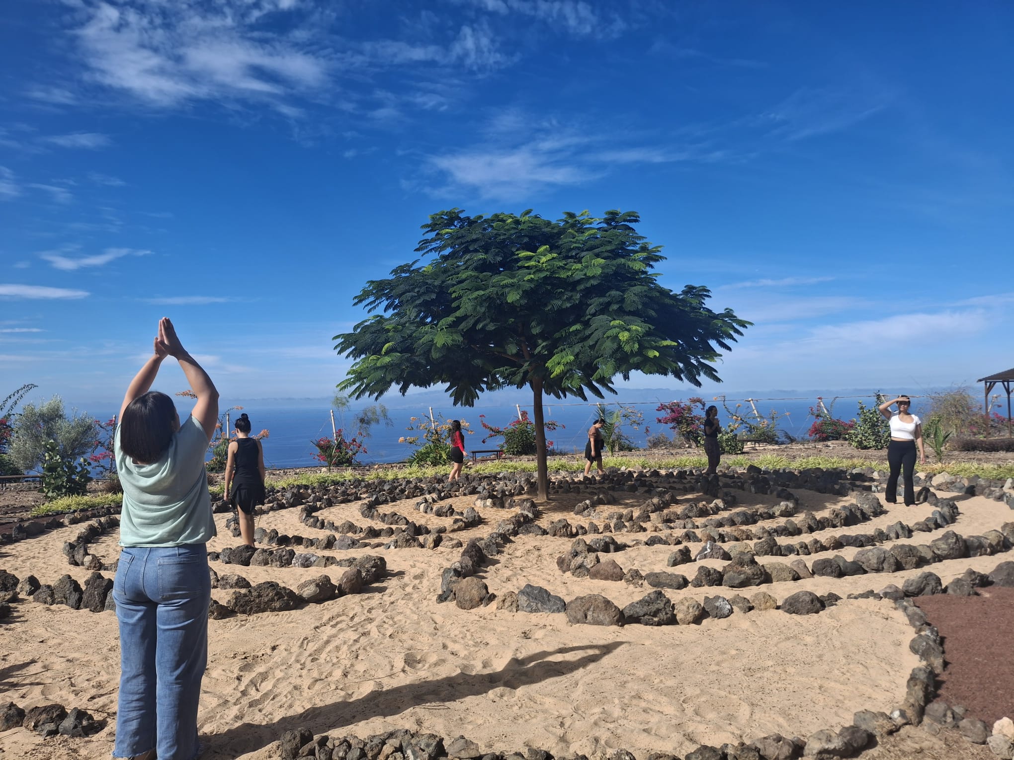 Coaching vocal profesional